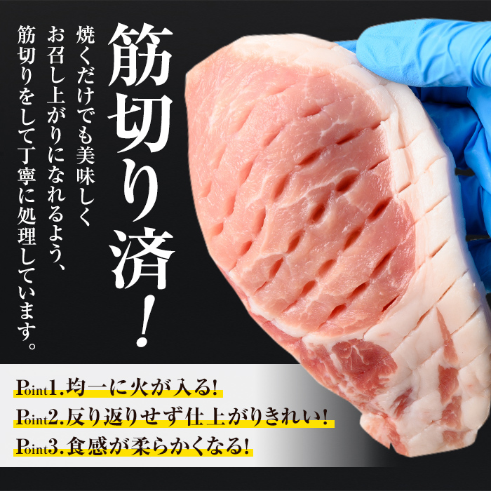isa661 小分け・真空パック！九州産豚肉3種セット(合計3.1kg) バラスライス ロース とんかつ 生姜焼き 真空包装 真空パック 小分け ぶたにく 豚 肉 詰合せ 詰め合わせ 食べ比べ 冷凍 【サンキョーミート株式会社】