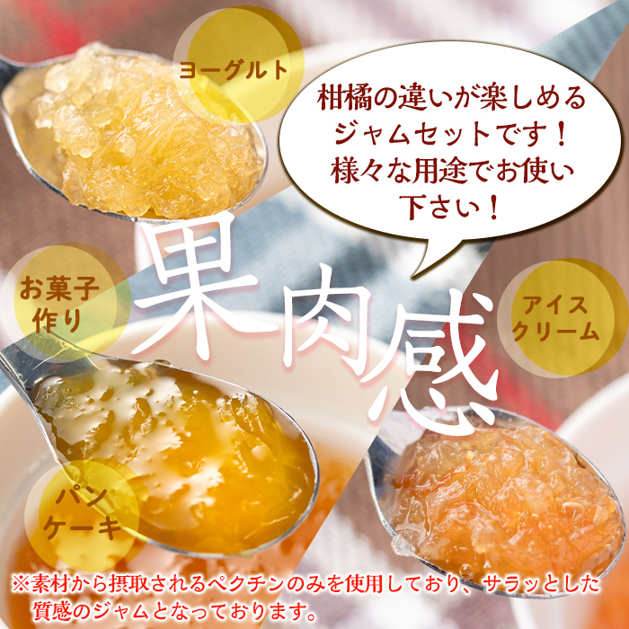 isa682 3種の柑橘ジャム食べ比べセットB(計9個・ボンタン、サワーポメロ、紅甘夏 各140g) 加工食品 果物 フルーツ 詰め合わせ 果肉 柑橘 低糖 ハンドメイド ジャム ギフト マーマレード 【薩摩美食倶楽部】