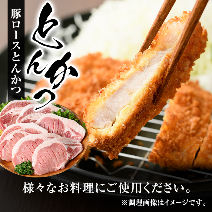 isa683 【定期便3回】小分け・真空パック！九州産豚肉3種セット(合計9.3kg・3.1kg×全3回)  バラスライス ロース とんかつ 生姜焼き 真空包装 真空パック 小分け ぶたにく 豚 肉 詰合せ 詰め合わせ 食べ比べ 冷凍 【サンキョーミート株式会社】