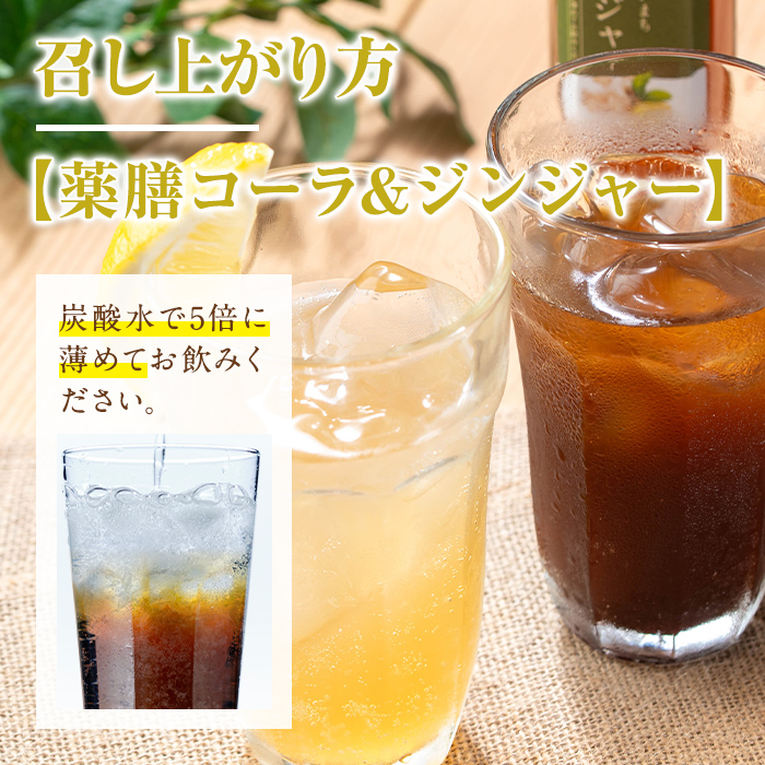isa749 野草庵オリジナル 薬膳コーラシロップ・薬膳ジンジャーシロップセット(各200ml×1本) 薬膳コーラ 薬膳ジンジャー コーラシロップ ジンジャーシロップ 薬膳ドリンク クラフトコーラ ジンジャーエール 健康 美容 スパイス 【やさしいまち】