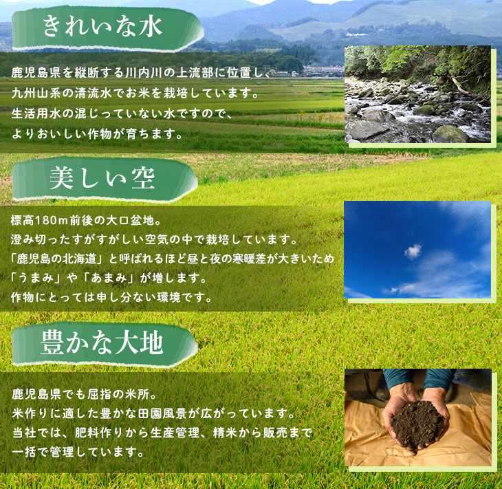 isa798 令和7年度産 星のしずく(5kg) 伊佐市 お米 米 おこめ こめ 白米 精米 伊佐米 星のしずく 5kg 【ライス郷井手口】