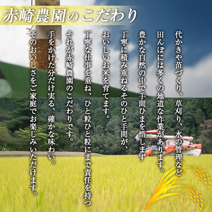isa807 鹿児島県産ひのひかり(5kg) 国産 鹿児島県 米 お米 白米 伊佐米 【赤崎農園】
