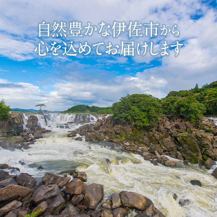 isa842 からだにやさしいティータイム(合計7種) 鹿児島 お茶 健康茶 茶 ティー ハーブティー よもぎ メドハギ クチナシ 飴 シフォンケーキ 薬草 お菓子セット 詰め合わせ 【やさしいまち】