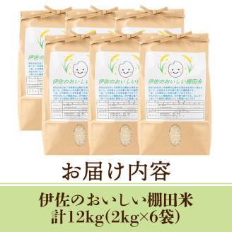 isa558 令和7年産 伊佐のおいしい棚田米 ヒノヒカリ(計12kg・2kg×6袋) 国産 白米 精米 伊佐米 2kg お米 米 ごはん ご飯 ひのひかり 【薩摩美食倶楽部】