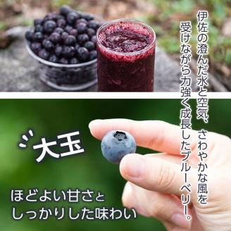 isa157 冷凍ブルーベリー(1kg) ふるさと納税 伊佐市 特産品 フルーツ 果物 冷凍 冷凍便【伊佐ブルーベリーつみとり観光農園】