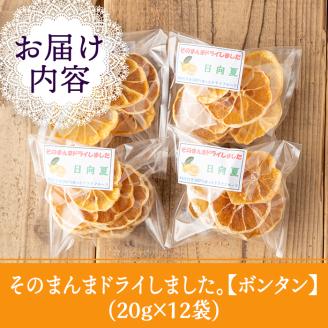 isa570 《数量限定》ドライフルーツボンタン「そのまんまドライしました。」(計12袋・各20g)   ドライフルーツ ボンタン 砂糖不使用 小分け 手づくり ギフト 加工食品 果物 フルーツ  ハンドメイド【薩摩美食倶楽部】