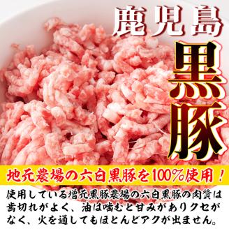 isa390 地元で人気のラーメン屋さんの黒豚生餃子！(計72個・12個入り×6P) ふるさと納税 伊佐市 特産品 鹿児島 手作り 生餃子 ギョウザ 黒豚 豚肉 冷凍食品 おかず おつまみ 惣菜 小分け 焼くだけ 簡単調理 冷凍便 ぎょうざ ギョーザ 加工品 おかず【らーめん処力】