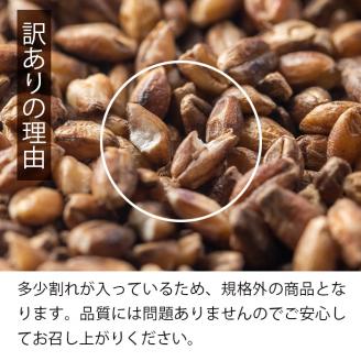 isa256 《訳あり・数量限定》鹿児島県伊佐市産もち麦！＜ダイシモチ＞(計1.8kg・300g×6袋) 国産 九州産 訳あり 麦 ごはん 穀類 お米 ヘルシー 腸活 食物繊維 【社会福祉法人ひまわり福祉会】