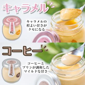 isa474 《毎月数量限定》伊佐っプー なめらかプリンセット ( 計6個・3種×各2個）ふるさと納税 伊佐市 特産品 洋菓子 プリン 洋菓子 スイーツ 鹿児島 おやつ 菓子 お菓子 ギフト お土産【FLOWER STINGRAY】