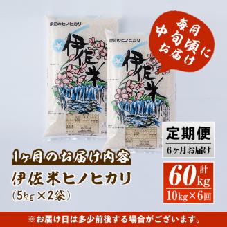 J5-01 【定期便】鹿児島県産！伊佐米ヒノヒカリ(計60kg・10kg×6ヶ月) ふるさと納税 伊佐市 特産品 薩摩 北の郷 特産品 お米 白米 精米 ひのひかり【神薗商店】