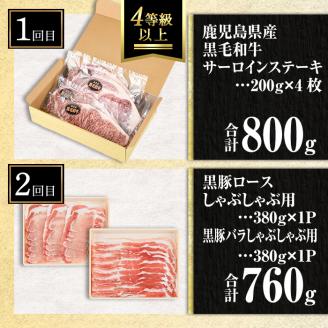 isa512 【定期便３回】鹿児島の黒!! 黒牛・黒豚 定期便(合計2.26kg) 肉 牛肉 ステーキ 霜降り すきやき しゃぶしゃぶ 牛しゃぶ 冷凍 ロース カタロース 肩ロー ス サーロイン 黒豚 豚肉 豚 ぶた バラ スライス  アウトドア BBQ【サンキョーミート株式会社】