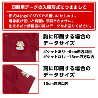 isa407 ふるさと納税 伊佐市 特産品 男女兼用 メンズ レディース イベント お揃い 衣類 シャツ オリジナル プリント 印刷【宮原スポーツ】