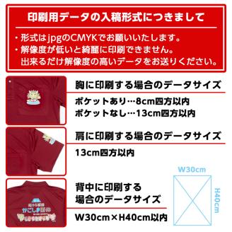 isa408 ふるさと納税 伊佐市 特産品 男女兼用 メンズ レディース イベント お揃い 衣類 シャツ オリジナル プリント 印刷【宮原スポーツ】