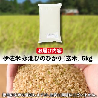 isa400 令和7年産 特別栽培米 永池ひのひかり玄米(5kg) 鹿児島 永池 お米 米 玄米 伊佐米 九州米サミット 食味コンテスト 最優秀賞受賞 ヒノヒカリ 【エコファーム永池】
