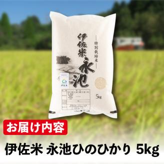 Z7-01 《数量限定》令和7年産 新米 特別栽培米 伊佐米永池ひのひかり(5kg) 伊佐市 永池 特産品 伊佐米 九州米サミット 食味コンテスト 最優秀賞受賞 ヒノヒカリ 5kg 【エコファーム永池】