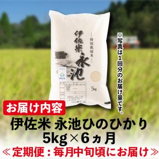 D2-04 【定期便】令和7年産 特別栽培米 伊佐米永池ひのひかり(計30kg・5kg×6ヶ月) 伊佐市 永池 お米 米 白米 精米 伊佐米 食味コンテスト 最優秀賞受賞 ヒノヒカリ 【エコファーム永池】
