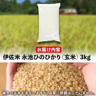 isa535 令和7年産 特別栽培米 永池ひのひかり玄米(3kg) 鹿児島 永池 お米 米 玄米 伊佐米 九州米サミット 食味コンテスト 最優秀賞受賞 ヒノヒカリ 【エコファーム永池】