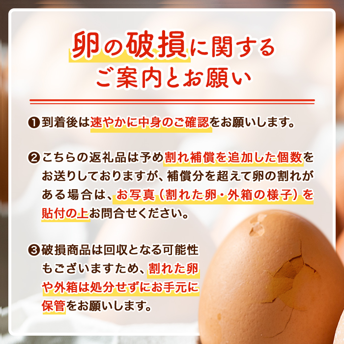 isa196 【定期便】いちき農園のこだわり卵(計360個・30個×12カ月) 自然豊かな伊佐で育てた平飼い鶏の低コレステロール卵！抗生物質不使用！ 平飼い 鶏 たまご 低コレステロール 抗生物質不使用 卵かけご飯 TKG 定期便 【いちき農園】