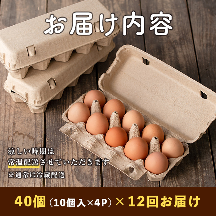 isa529 【定期便】いちき農園のこだわり卵(計480個・40個×12カ月)平飼い 鶏 たまご 卵 タマゴ 低コレステロール  抗生物質不使用 卵かけご飯 TKG 定期便【いちき農園】
