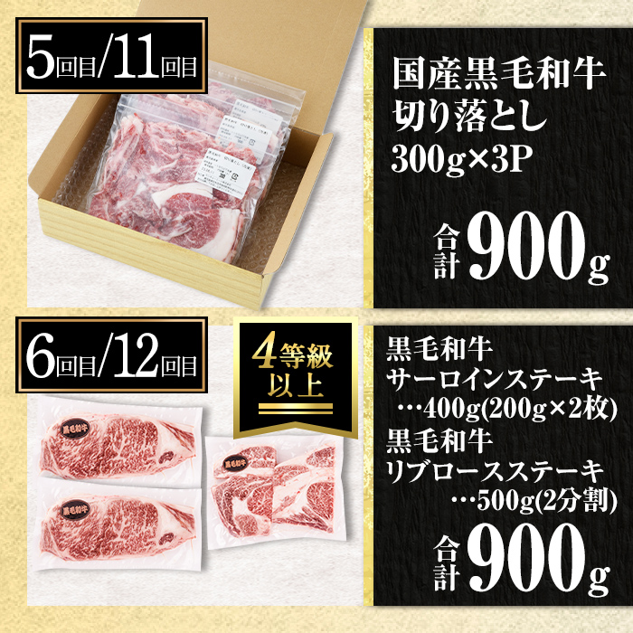isa585 【定期便12回】満足贅沢 牛肉定期便(合計10.4kg) 肉 牛肉 霜降り すきやき しゃぶしゃぶ 牛しゃぶ サーロイン リブロース ステーキ 冷凍 ロース カタロース 肩ロース BBQ アウトドア【サンキョーミート株式会社】