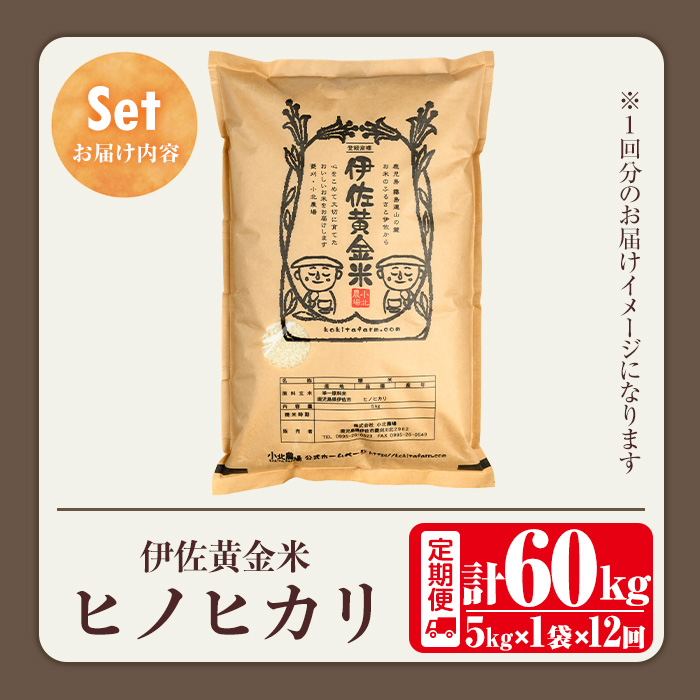 isa603 《数量限定・12回定期便》令和7年産 小北農場の新米 伊佐黄金米〈ヒノヒカリ〉(計60kg・5kg×1袋×12回) 鹿児島 伊佐 新米 お米 特別栽培米 伊佐米 白米 ヒノヒカリ ひのひかり おにぎり ごはん 【小北農場】