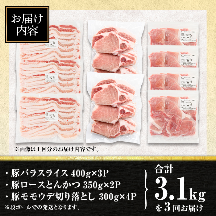 isa683 【定期便3回】小分け・真空パック！九州産豚肉3種セット(合計9.3kg・3.1kg×全3回)  バラスライス ロース とんかつ 生姜焼き 真空包装 真空パック 小分け ぶたにく 豚 肉 詰合せ 詰め合わせ 食べ比べ 冷凍 【サンキョーミート株式会社】