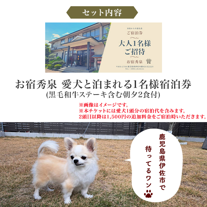 isa812 お宿秀泉 愛犬と泊まれる1名様宿泊券(黒毛和牛ステーキ含む朝夕2食付) 鹿児島県 伊佐市 宿泊 宿泊券 宿泊チケット 旅行 天然温泉 伊佐米 黒毛和牛 ステーキ 愛犬 犬 同伴可 【お宿秀泉】