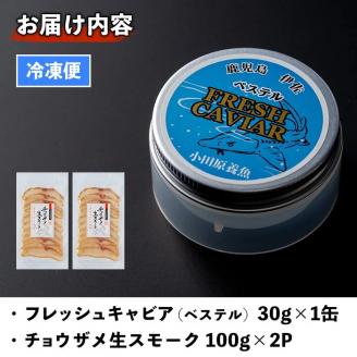 B7-02 純国産フレッシュキャビア(30g・ベステル)＆チョウザメ生スモーク(200g)セット！世界三大珍味のキャビアと生ハム風スモークをお届け 国産 魚卵 白身 おつまみ 世界三大珍味 グルメ 贅沢 生ハム風 冷燻 加工品 冷凍 冷凍便【小田原養魚】
