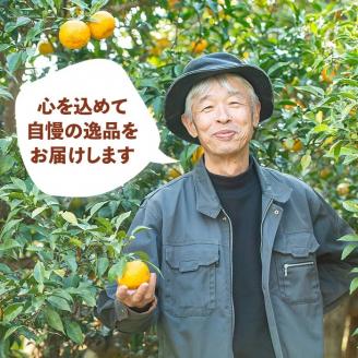 C0-05 ＜数量限定＞伊佐の垂らし蜜(600g・200g×3個) 野生種日本ミツバチが集めた貴重な蜂蜜！ゆず畑に囲まれた地域で採れた爽やかな味わいのハチミツ 国産 はちみつ 百花蜜 野生種 日本ミツバチ 蜂蜜 ハチミツ ハニー 【ゆず香房】