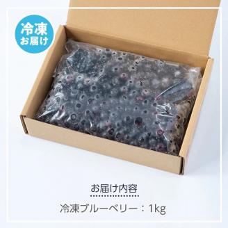 isa157 冷凍ブルーベリー(1kg) ふるさと納税 伊佐市 特産品 フルーツ 果物 冷凍 冷凍便【伊佐ブルーベリーつみとり観光農園】
