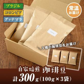 isa198 自家焙煎珈琲豆3袋(計300g・100g×3種)時間と手間をかけて徹底したハンドピックで選び抜いたコーヒー豆を、少量づつ丁寧に焙煎！3種飲み比べも！ コーヒー coffee コーヒー豆 自家焙煎 ハンドピック 飲み比べ 飲料 【工房ゆう】