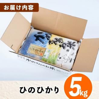 Z9-01 かめさんのお米(5kg・ひのひかり) 伊佐米 米 コメ 白米 精米 ごはん ご飯 ヒノヒカリ 5kg 【Farm-K】