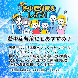 isa374 【定期便3回】スポーツドリンク 500ml 合計72本(24本×3回 