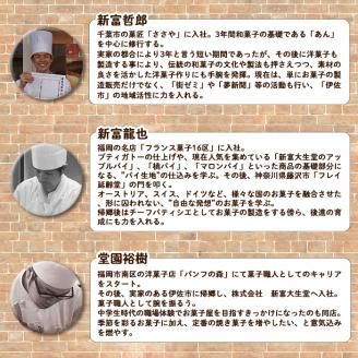 isa144 曽木サブレセットご家庭用20枚セット(かぼちゃの種10枚・白ごま10枚) 洋菓子 クッキー ビスケット おやつ 焼き菓子 黒糖 使用 厚焼き サブレ 贈り物 ご進物 プレゼント 詰合せ 詰め合わせ 【新富大生堂】