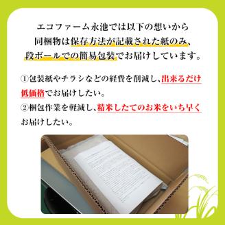 isa535 令和7年産 特別栽培米 永池ひのひかり玄米(3kg) 鹿児島 永池 お米 米 玄米 伊佐米 九州米サミット 食味コンテスト 最優秀賞受賞 ヒノヒカリ 【エコファーム永池】