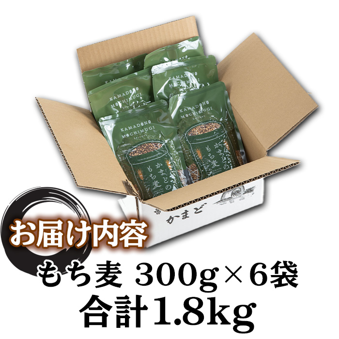 isa256 《訳あり・数量限定》鹿児島県伊佐市産もち麦！＜ダイシモチ＞(計1.8kg・300g×6袋) 国産 九州産 訳あり 麦 ごはん 穀類 お米 ヘルシー 腸活 食物繊維 【社会福祉法人ひまわり福祉会】