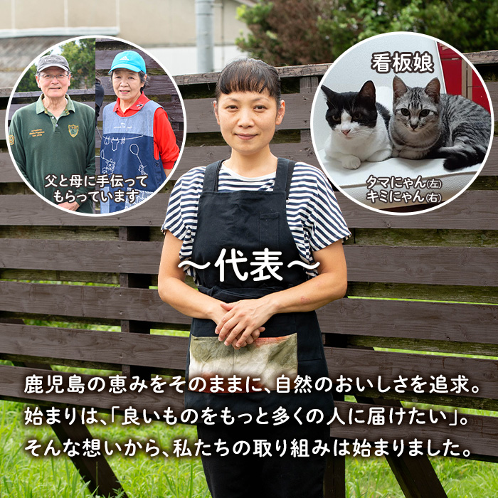 isa558 令和7年産 伊佐のおいしい棚田米 ヒノヒカリ(計12kg・2kg×6袋) 国産 白米 精米 伊佐米 2kg お米 米 ごはん ご飯 ひのひかり 【薩摩美食倶楽部】