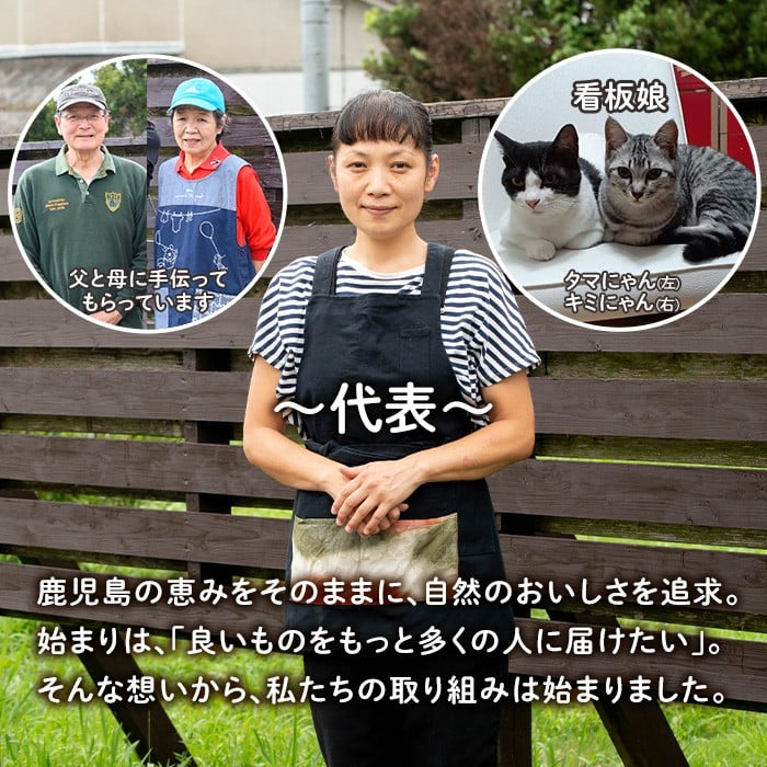 isa568 《数量限定》ドライフルーツボンタン「そのまんまドライしました。」(計4袋・各20g)  ドライフルーツ ボンタン 砂糖不使用 小分け 手づくり ギフト 加工食品 果物 フルーツ  ハンドメイド 【薩摩美食倶楽部】