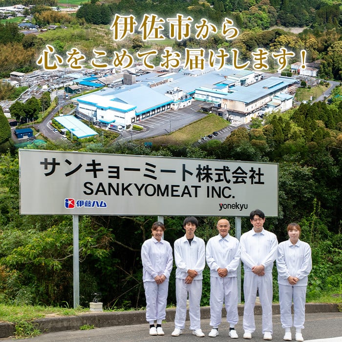 isa642 【定期便6回】黒毛和牛ステーキ定期便(合計5.1kg) 真空包装 真空パック リブロース サーロイン ステーキ 牛 うし 牛肉 アウトドア 食べ比べ BBQ 冷凍 【サンキョーミート株式会社】