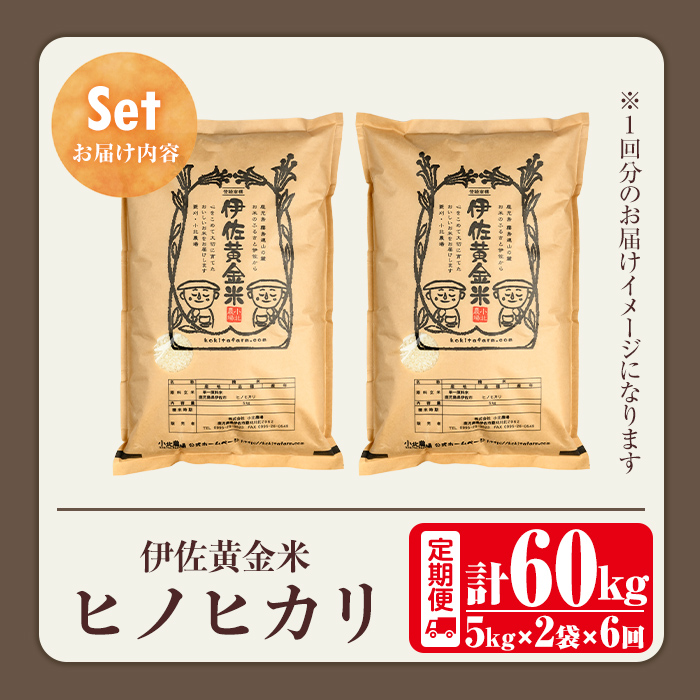 isa792 《数量限定・6回定期便》令和7年産 小北農場の新米 伊佐黄金米〈ヒノヒカリ〉(計60kg・5kg×2袋×6回) 鹿児島 伊佐 新米 お米 60kg 定期便 6回 特別栽培米 伊佐米 白米 ヒノヒカリ ひのひかり おにぎり ごはん  【小北農場】