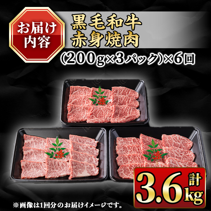 isa849 【定期便6回】鹿児島県(カミチクファーム 大口農場)産 黒毛和牛赤身焼肉(計3.6kg) 黒毛和牛 赤身 焼肉 和牛 国産牛 高級肉 A5 ランク 雌牛 牛肉 焼肉用 BBQ バーベキュー アウトドア キャンプ 高タンパク 冷凍 小分け 【お肉の直売所 伊佐店】