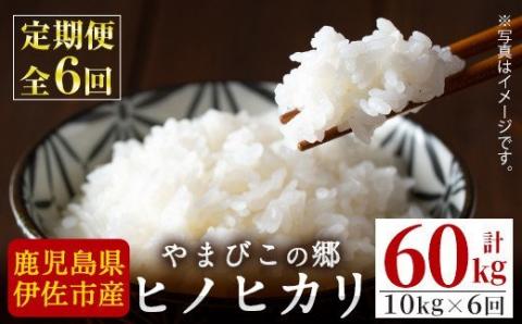 J0-02 【定期便】特別栽培ヒノヒカリ(計60kg・毎月10kg×6ヶ月) ふるさと納税 伊佐市 特産品 白米 精米 ひのひかり 鹿児島 お米 米  伊佐米 【やまびこの郷】