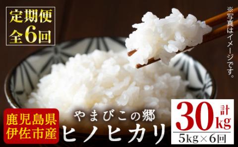 E0-03 【定期便6回】特別栽培ヒノヒカリ(計30kg・毎月5kg×6ヶ月) 白米 精米 ひのひかり【やまびこの郷】