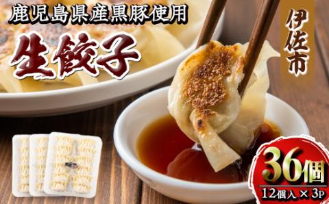 isa266 100年以上続く精肉店の黒豚餃子(計36個・12個入×3P) 惣菜 鹿児島 手作り 生餃子 ギョウザ 黒豚 豚肉 冷凍食品 おかず おつまみ 惣菜 小分け 焼くだけ 簡単調理 冷凍便 【増元精肉店】