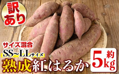 isa521 《訳あり》熟成紅はるか(約5kg・SS～LLサイズ混合) ふるさと納税 伊佐市 特産品 訳あり さつまいも 紅はるか 鹿児島 生芋 完熟 長期熟成 土付き べにはるか サツマイモ 焼き芋に【いさ工房】