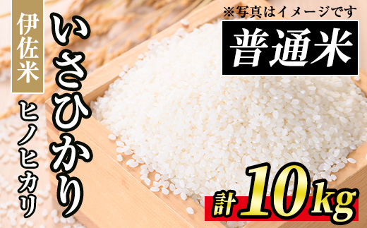 A7-03 いさひかり(5kg×2袋・計10kg) 一穂一穂大切に育てた自慢の伊佐産ヒノヒカリ お米 米 白米 精米 伊佐米 ご飯 ヒノヒカリ【JA北さつま】
