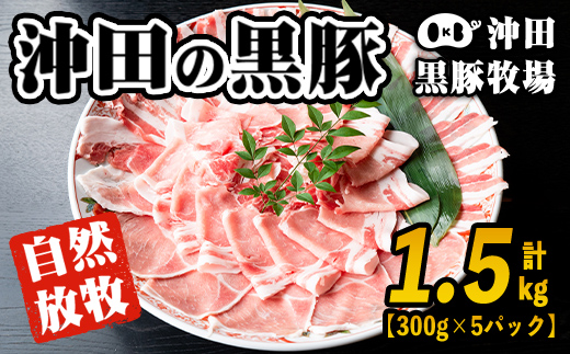 B6-01 鹿児島県産！贅沢な黒・沖田の黒豚(計1.5kg・ロース、肩ロース、バラ、モモ、ウデいずれか5パック) 国産 九州産 鹿児島 肉 お肉 黒豚 豚肉 生姜焼きしょうが焼きしゃぶしゃぶ 冷凍 冷凍便 【沖田黒豚牧場】