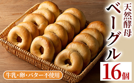 isa170 ＜予約受付中！2026年2月中に発送予定＞プレーンベーグル(16個) 天然酵母 ふるさと納税 伊佐市 特産品 パン 国産 白神こだま酵母 ヒマラヤ岩塩 焼きたて 急速冷凍 ベーグル 牛乳・卵・バター不使用 ベーグルサンド 就労支援 【工房あけぼの】