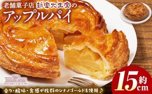 isa202 ＜期間限定・2026年2月発送分＞アップルパイ(約15cmホールタイプ) 国産 りんご 林檎 リンゴ シナノゴールド スイーツ 焼き菓子 洋菓子 お菓子 おかし パイ おやつ 【新富大生堂】