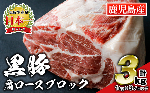 isa296 鹿児島県産黒毛和牛 伊佐黒王牛リブロース焼肉用！(計1kg・500g×2パック) ブランド牛 牛肉 国産 九州産 鹿児島県産 BBQ 和牛 ギフト 肉 贈り物 プレゼント 【プラン・ビー】